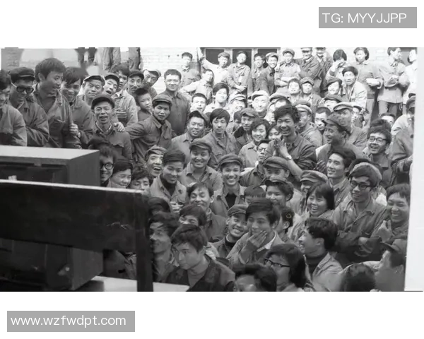 成都排球队技术对比深度解析与发展趋势探讨