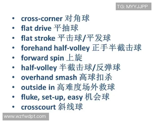 南京网球队状态对比深度解析与未来发展趋势探讨